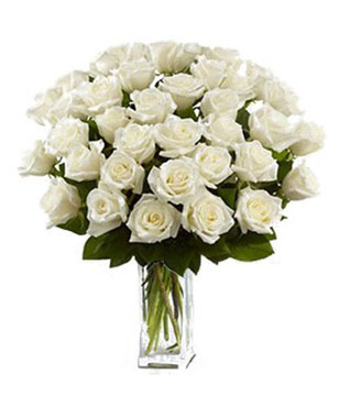 36 breathtaking Long Stem White Roses 