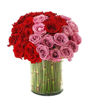 3 Dozen of Red and Purple Roses in a Vase