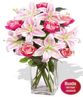 5 x Oriental Lily Stems,6 x Premium Rose (Long Stem)