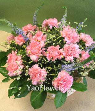 16 Pink Carnations