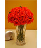 Two Dozen Red Roses With a Vase