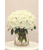 Two Dozen White Roses With a Vase