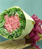 24 Pink Carnations