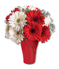 5 Red Gerbera Daisies and 5 White Gerbera Daisies With a Vase