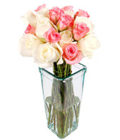 Dozen Pink & White Roses In Vase 