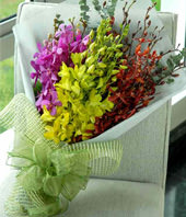 Mixture Of Orchid Hand Bouquet 