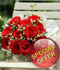 12 Red Roses Posy 