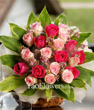 24 Dark Pink And Light Pink Roses Hand Bouquet