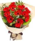 6 Pink lilium,royal blue