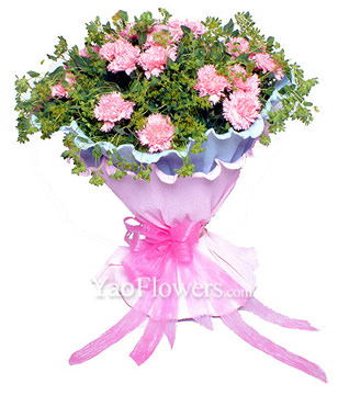 26 pink carnations