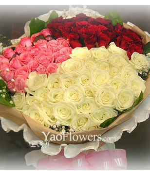 99 roses with 3 color and Top class
