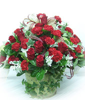 33 roses with Top class,33 red carnations
