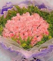 66 Pink roses