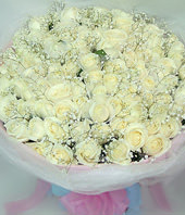 99 Pure white roses