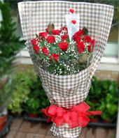 21 Red roses with baby's breath