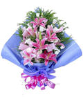 6 Pink lilium,royal blue