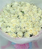 99 Pure white roses