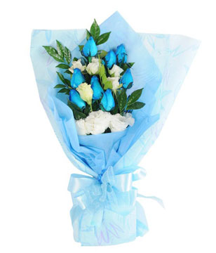 Bouquet of 9 Blue Roses & White Carnations