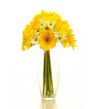 Yellow Gerbera and White Chrysanthemums in a Glass Vase