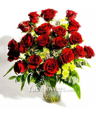 24 Red Roses In A Vase 