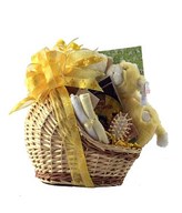 adorable basket for the lil one