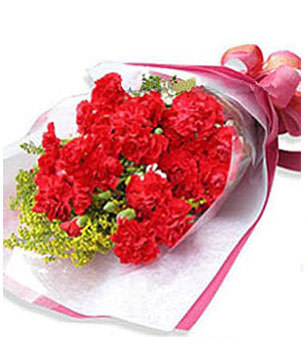 10 Stem of red Carnations in Bouquet 