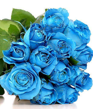 Hand Bouquet of 12 Blue Roses