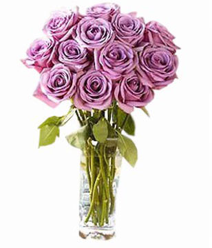 Lilac roses for the lady