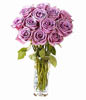Lilac roses for the lady
