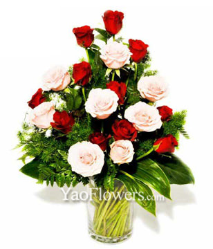Red & Pink Roses With Green Foliage 