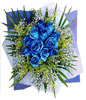 12 blue roses