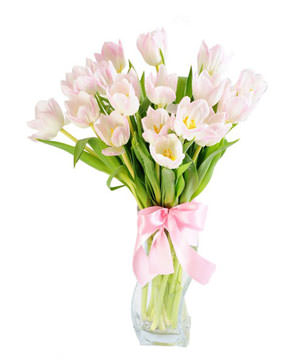 20 pink tulips