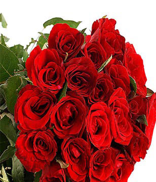 24 Red Roses Hand Bouquet