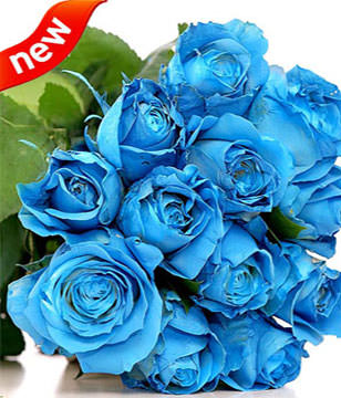 12 Blue Roses Bouquet
