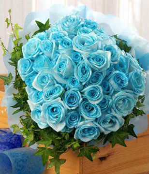 48 Stalks Of Blue Roses With Ivy Leaves And Blue Wrapping