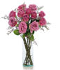 12 Pink Roses In A Vase 