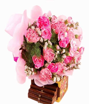 12 Pink Carnations Hand Bouquet