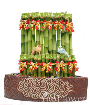 FENGSHUI PLANTS,GONG XI FA CAI PLANTS,Wealth opened games bamboo. 30CMX30CM