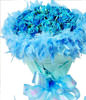 Blue Dream,66 blue roses