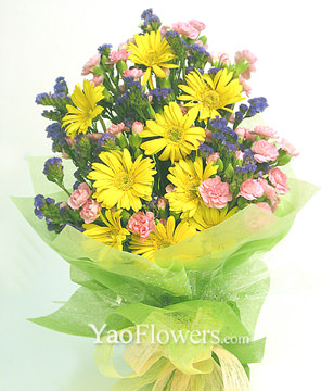 9 yellow daisies,16 pink carnations