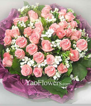 33 Diana Roses