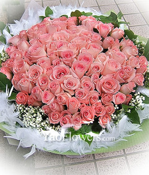 101 Diana pink roses