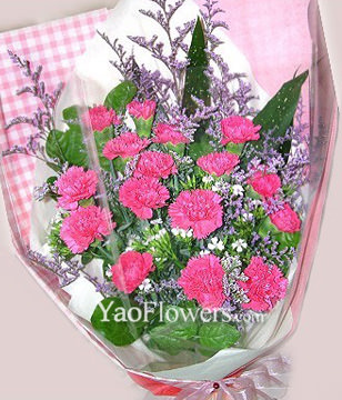 16 Peach carnations