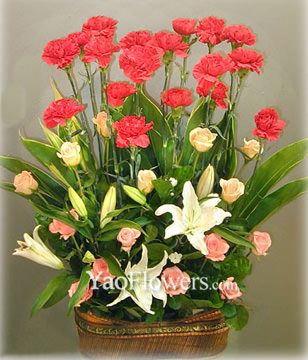 20 Carnations with Top class,20 roses,5 lilium