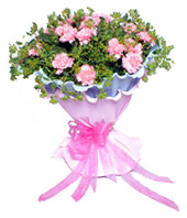 26 pink carnations