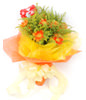 11 yellow daisies