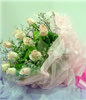 11 Champagne roses