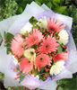 12 Gerbera Daisies