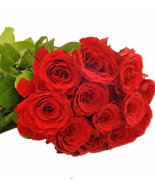Bouquet of a Dozen Red Roses