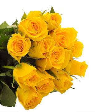 Bouquet of 12 Yellow Roses